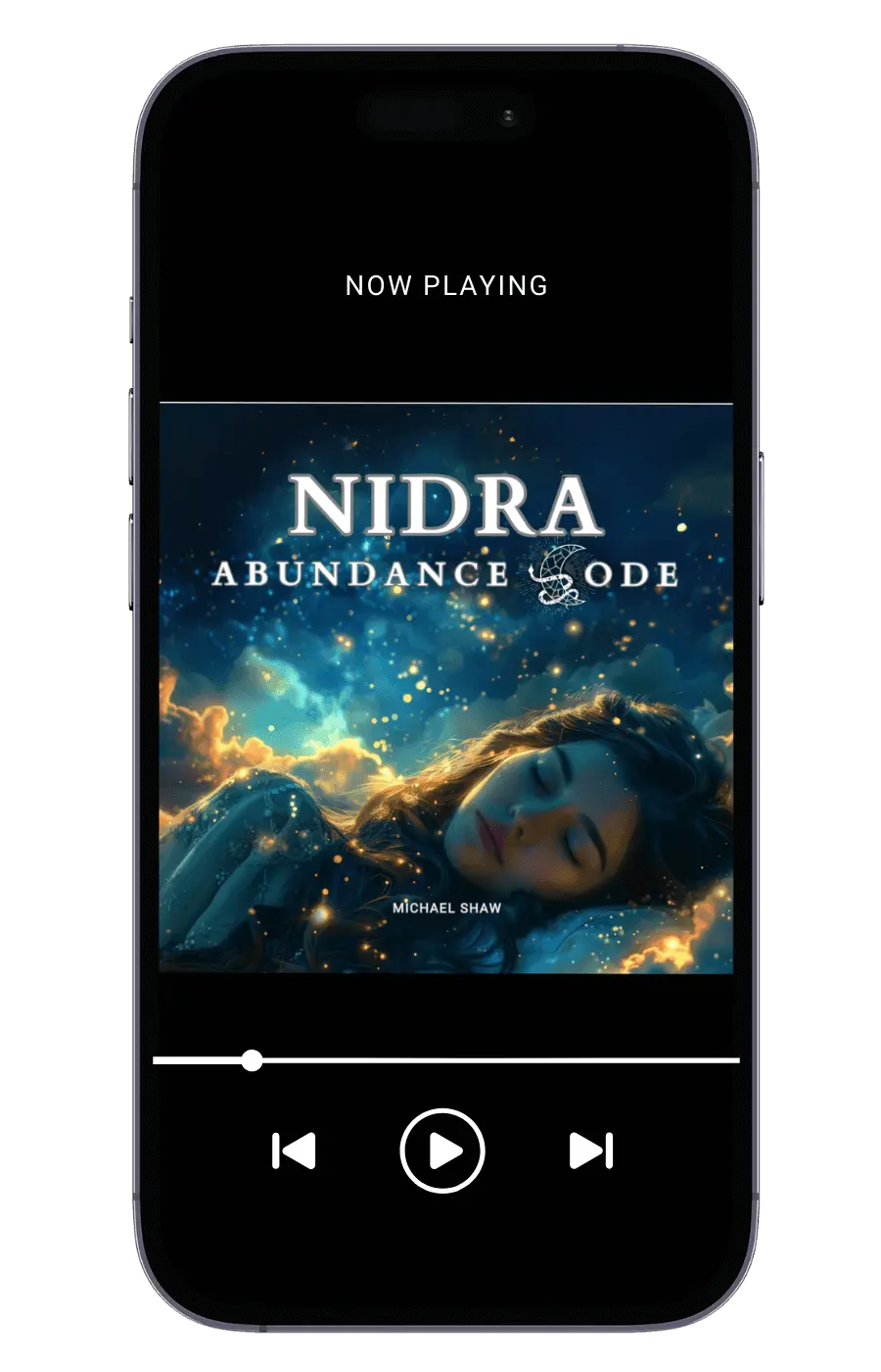 Nidra Abundance Code Program